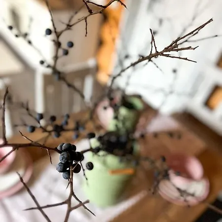 Medved, Vlk, Liska Zrubova Rozpravka Nad Rybnikom 木屋